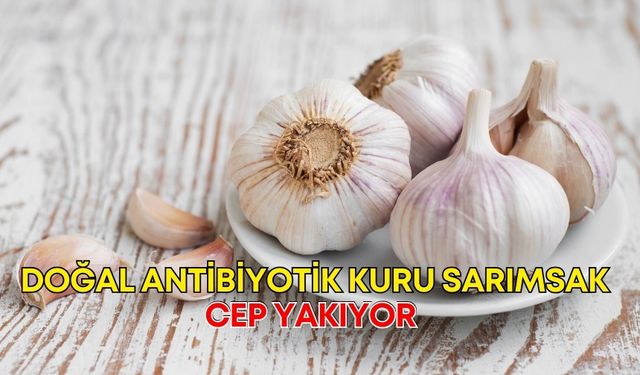 Antalya’da kış hazırlıkları yarıda kaldı! Doğal antibiyotik kuru sarımsağa güç yetmiyor