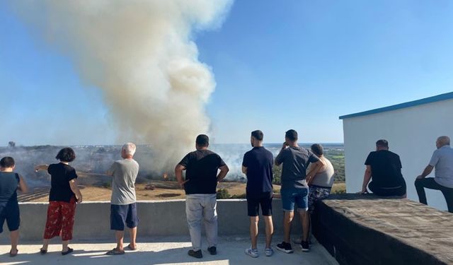 Antalya'da makilik ve zeytinlik alanlar kül oldu