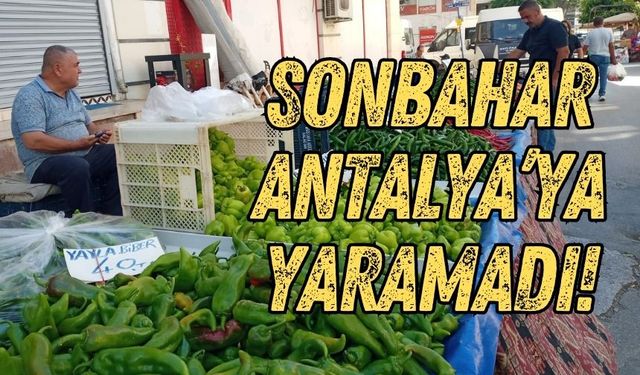 Sonbahar Antalya’ya yaramadı! Sebze meyve fiyatları ateş pahası