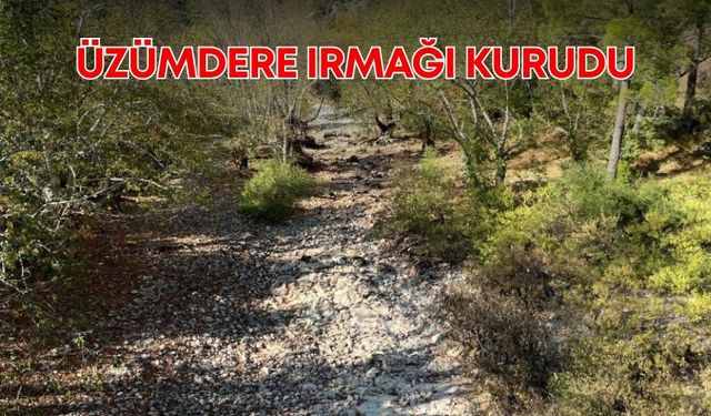 Antalya’da Oymapınar ve Manavgat barajlarını besleyen Üzümdere Irmağı kurudu