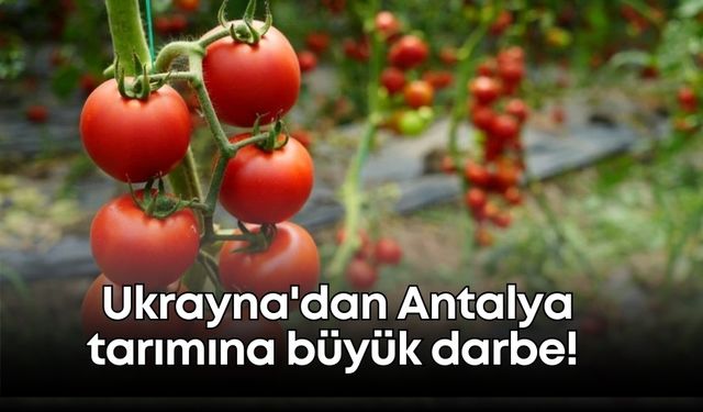 Ukrayna'dan Antalya tarımına büyük darbe! Türkiye'nin rakiplerine gün doğdu