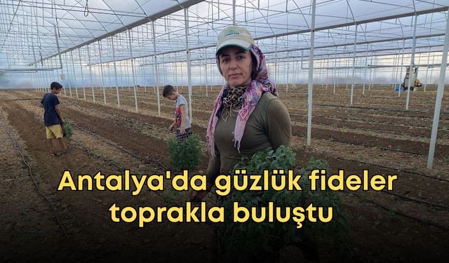 Antalya'da güzlük fideler toprakla buluştu