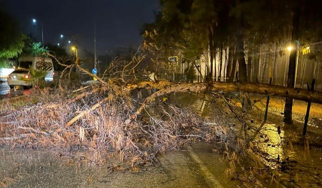 Alanya Belediyesi, olumsuz havaya karşı tetikte