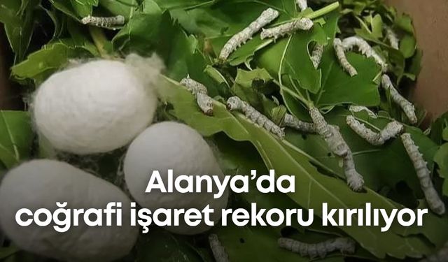 Alanya’da coğrafi işaret rekoru kırılıyor