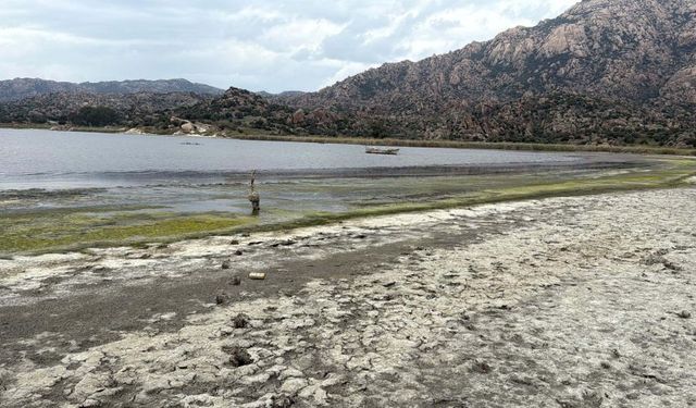 Muğla’nın yok olmaya yüz tutan Bafa Gölü yeniden hayat bulacak