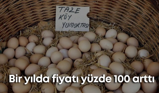 Antalya’da köy yumurtasının yanına yaklaşılmıyor! Bir yılda fiyatı yüzde 100 arttı