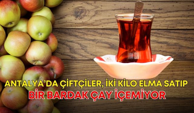 Antalya’da çiftçiler, iki kilo elma satıp bir bardak çay içemiyor