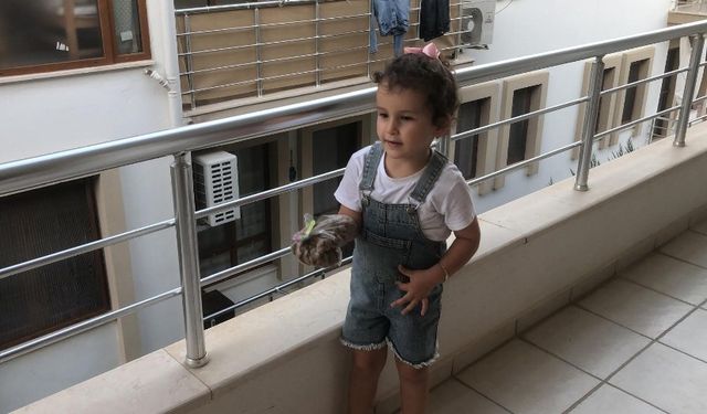 Datça'da 4 yaşındaki Gökçe Erdoğan'dan örnek hayvan sevgisi
