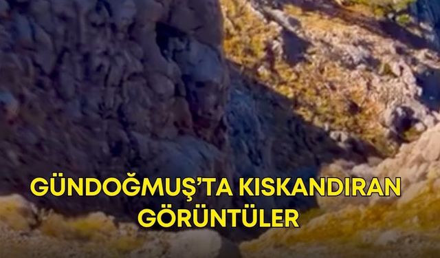 Antalya’da doğada özlenen günler geri geldi! Gündoğmuş’ta kıskandıran görüntüler
