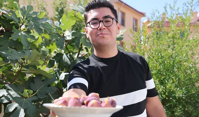 Konya'da apartman bahçesinde incir yetiştirdi!