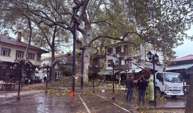 Isparta’nın 800 yıllık ağacı güvenlik çemberine alındı