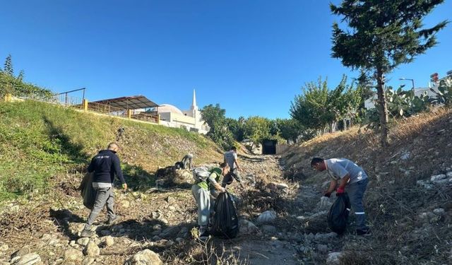Yabancı kadınlardan Kemer'de örnek temizlik hareketi