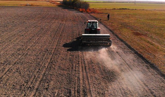 Konya Ovası'nda hububat mesaisi başladı: Uzmanlardan sahte gübre ve tohum uyarısı