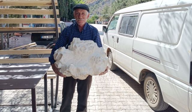 Konya'da 19 kilo ağırlığında dev mantar bulundu