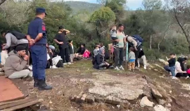 Muğla'da kaçak göçmenler yakalandı!