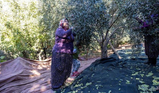 Mersin'de kadın eliyle üretim büyüyor