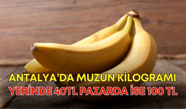 Antalya’da muzun kilogramı yerinde 40TL pazarda ise 100 TL