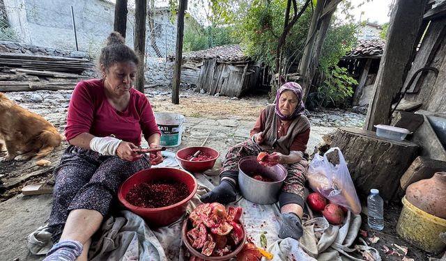 Aksekili kadınlar, geleneksel nar ekşisi üretimine başladı