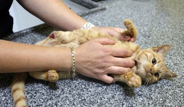 Isparta Valisi Abdullah Erin, büyü iddialarına cevap verdi