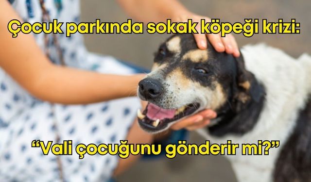 Antalya’da sokak köpeği tehlikesi: “Çocuk parkına giremiyoruz”