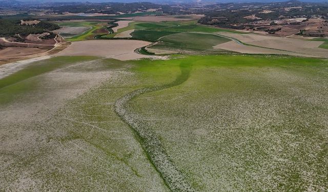Tarımın kalbi Çukurova'ya Güney Kore'den kuraklık endişesi