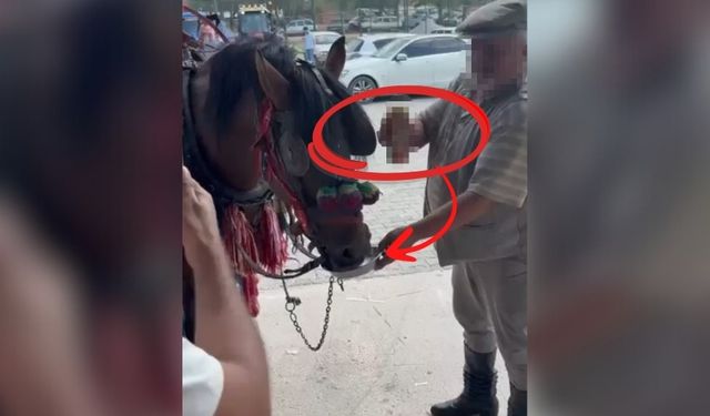 Sünnet düğününde ata alkol içirdiler!