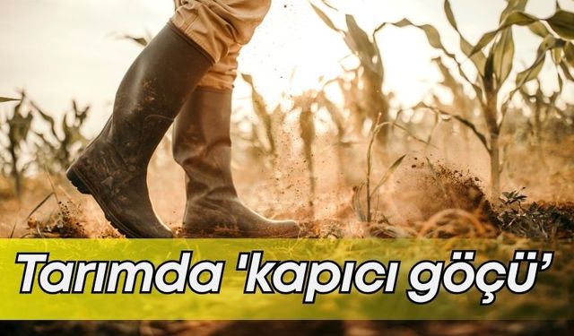 Tarımda 'kapıcı göçü’! Tarımı bırakıp kapıcı oldular