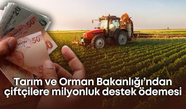 Tarım ve Orman Bakanlığı’ndan çiftçilere milyonluk destek ödemesi