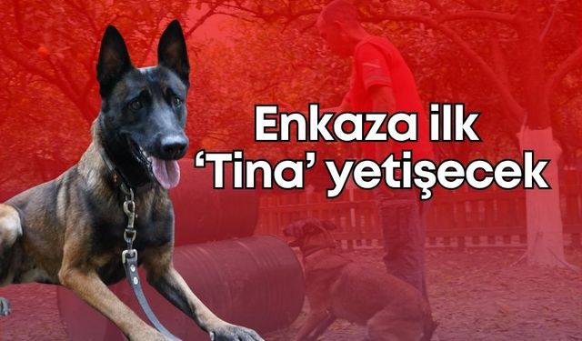 Tina, Antalya’nın ilk enkaz arama köpeği oldu!