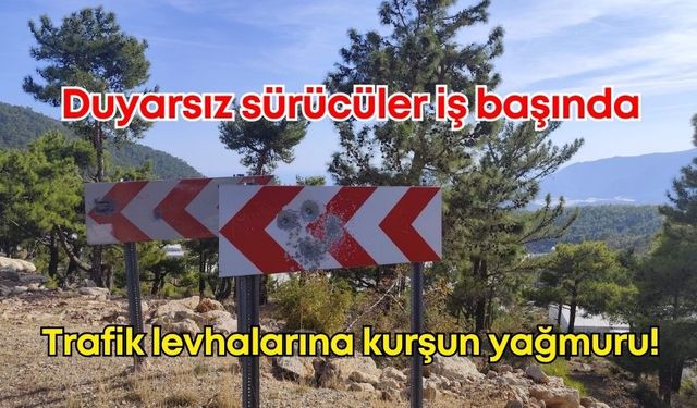 Mersin'de trafik levhalarına kurşunlu saldırı!