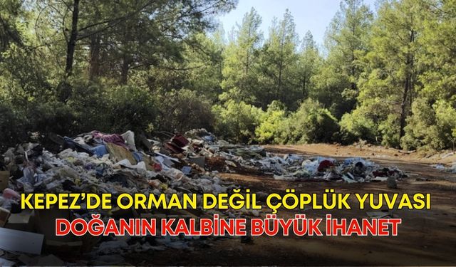 Kepez’de orman değil çöplük yuvası! Doğanın kalbine büyük ihanet