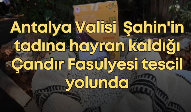 Antalya Valisi Hulusi Şahin'in tadına hayran kaldığı Çandır Fasulyesi tescil yolunda