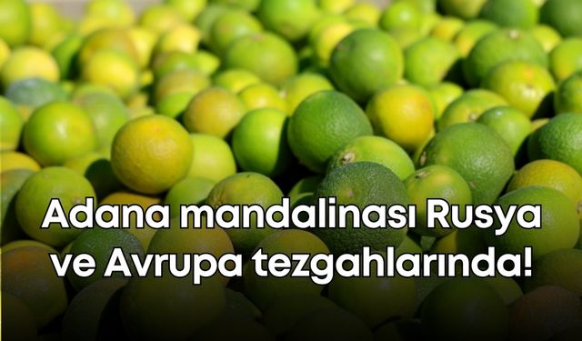 Adana mandalinası Rusya ve Avrupa tezgahlarında!