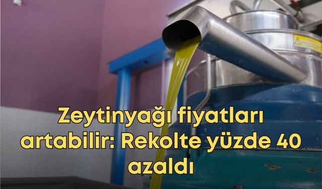 Zeytinyağı fiyatları artabilir: Rekolte yüzde 40 azaldı