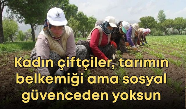 Kadın çiftçiler, tarımın belkemiği ama sosyal güvenceden yoksunlar