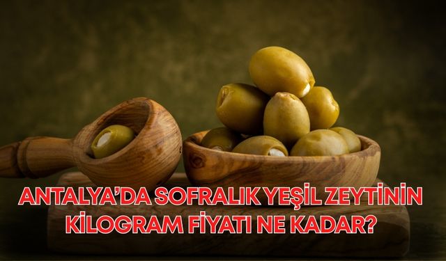 Antalya’da sofralık yeşil zeytinin kilogram fiyatı ne kadar?