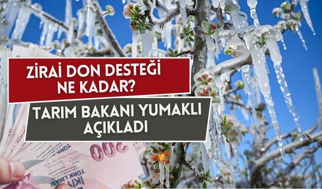 Zirai don desteği ne kadar? Tarım Bakanı İbrahim Yumaklı açıkladı