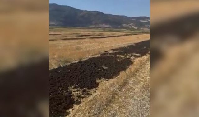 26 kamyon arıtma çamuru Burdur'a döküldü! Firmaya milyon liralık ceza