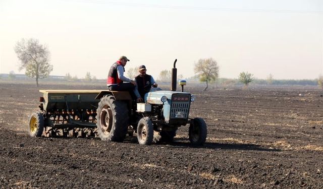 Adana’da 480 dekar mera alanı ıslah ediliyor