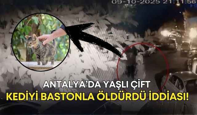 Antalya’da yaşlı çift, kediyi bastonla öldürdü iddiası!