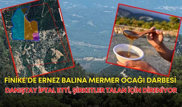 Finike’de Ernez balına mermer ocağı darbesi! Danıştay iptal etti, şirketler talan için direniyor