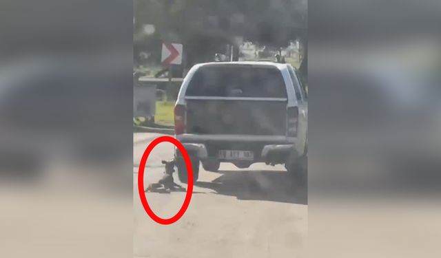 Muğla’da kan donduran olay! Köpeği kamyonetin arkasında sürükledi