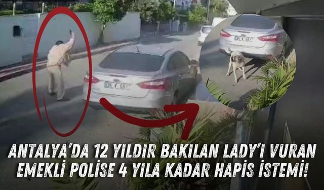 Antalya’da 12 yıldır bakılan Lady’ı vuran emekli polise 4 yıla kadar hapis istemi!