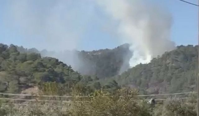 Muğla’da ekipler alevlere mücadele ediyor