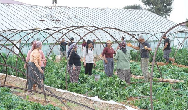 Mersin Bozyazı'da hortum seraları yerle bir etti