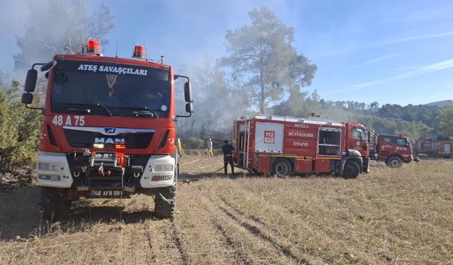 Muğla'da 2 ayrı yangın korkuttu