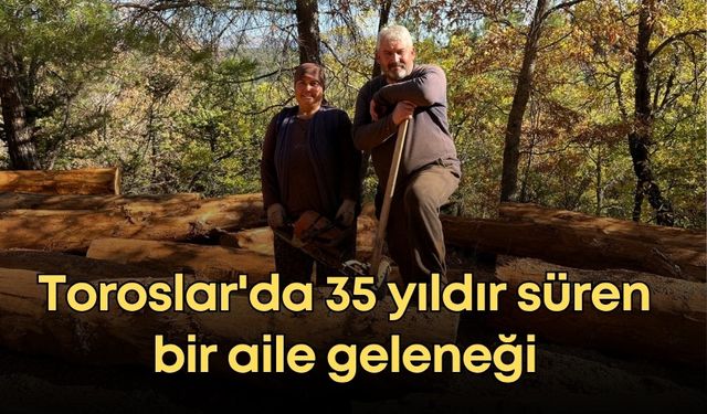 Toroslar'da bir aile geleneği:  Güneş çifti, 35 yıldır orman işçiliği yapıyor