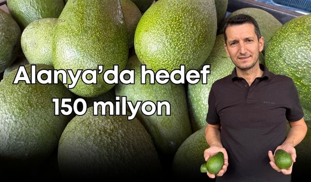 Türkiye'nin avokado üssü Alanya’da hedef 150 milyon rekolte