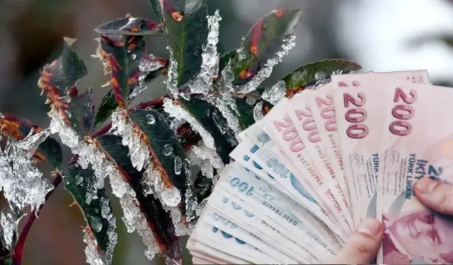 Antalyalı çiftçiye zirai don desteği