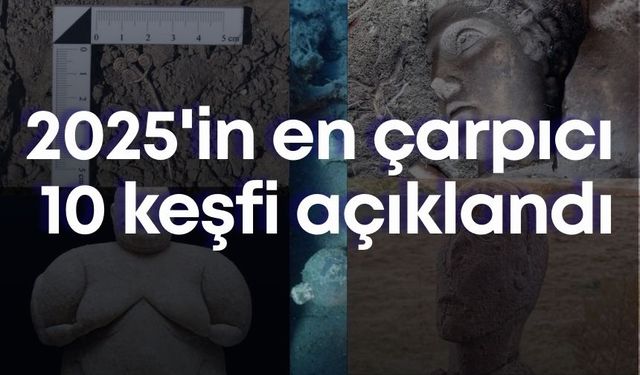 2025'in en çarpıcı 10 keşfi açıklandı
